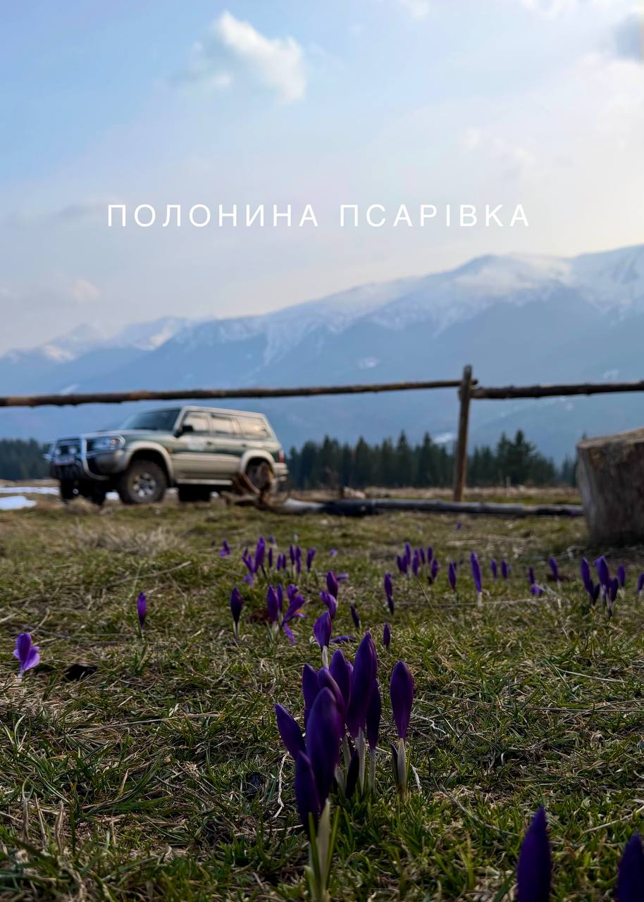 Полонина Псарівка